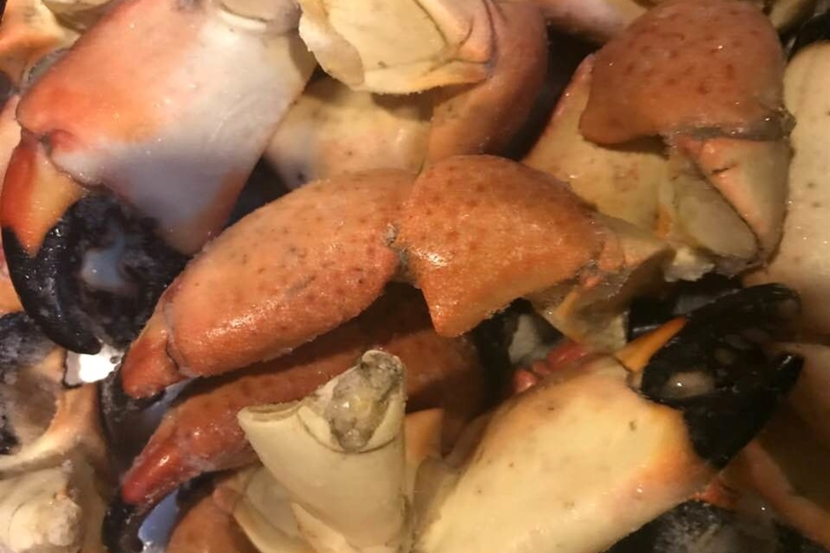 Stone Crab Season Oct 15 - May 1
