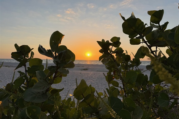 Chasing sunsets and enjoying endless summers on North Captiva Island