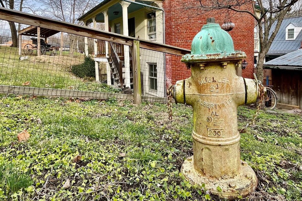 The fenced dog run comes complete with private fire hydrant.