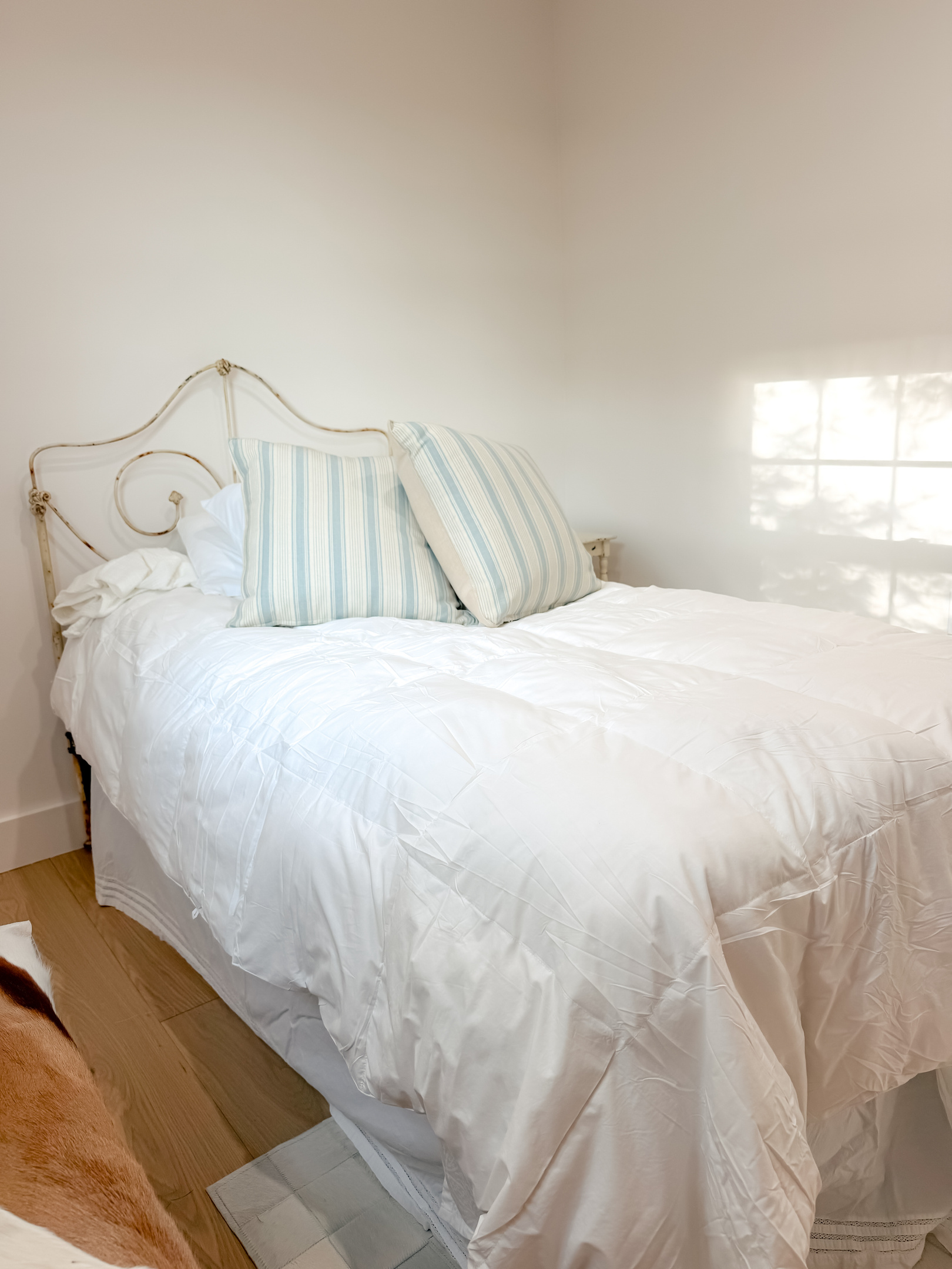 Elegant bright second bedroom with a twin bed 