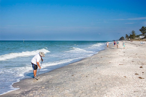 Our shoreline is loaded with shells and sharks teeth.