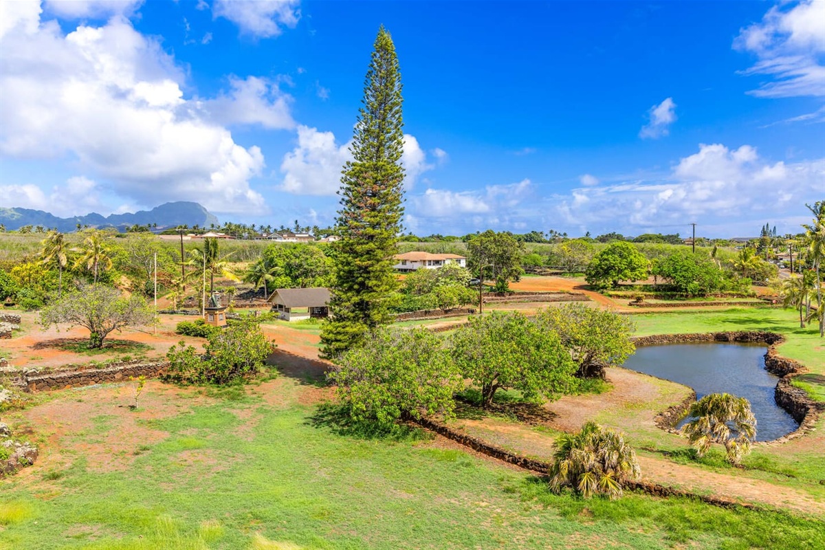 View of Prince Kuhio Park from the Roof Top