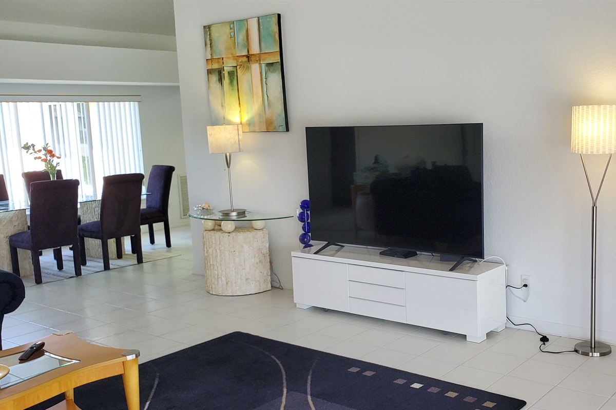 Smart TV and Roku