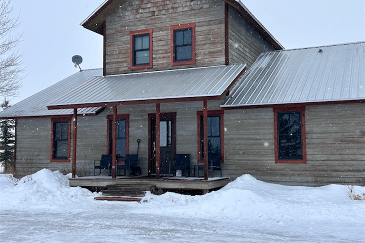 Come play in the fresh snow.