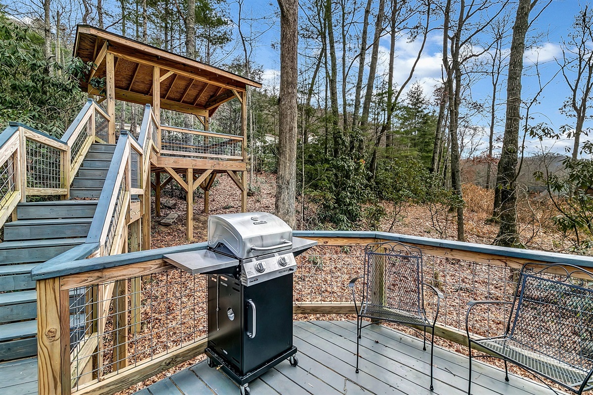Propane Grill