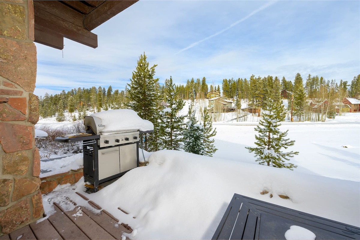 Firepit and grill on back porch main level