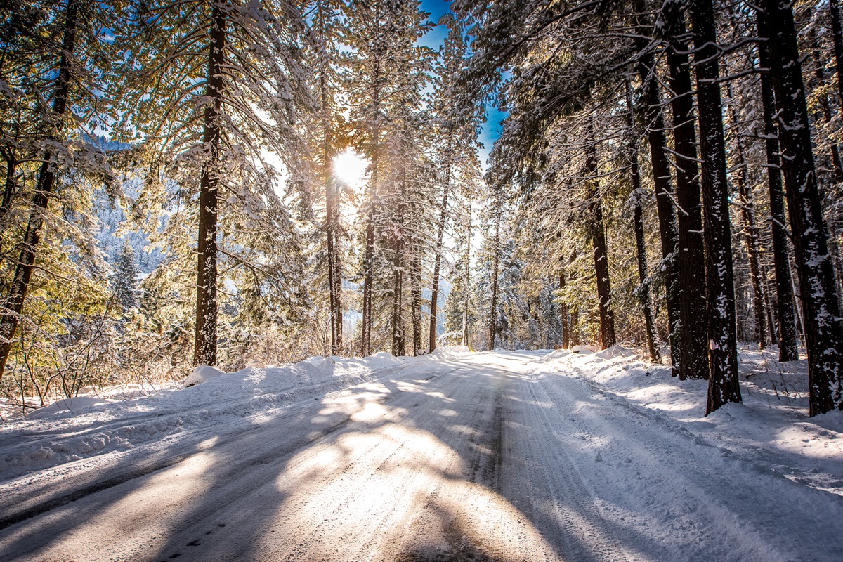 Ingalls Creek Road - driving to the home