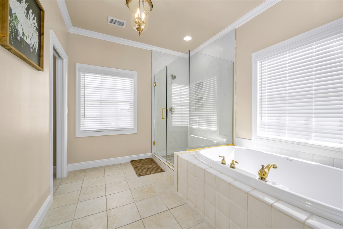 Master shower and soaking tub