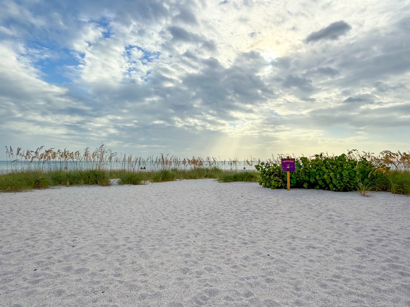 Private Backyard Beach Area