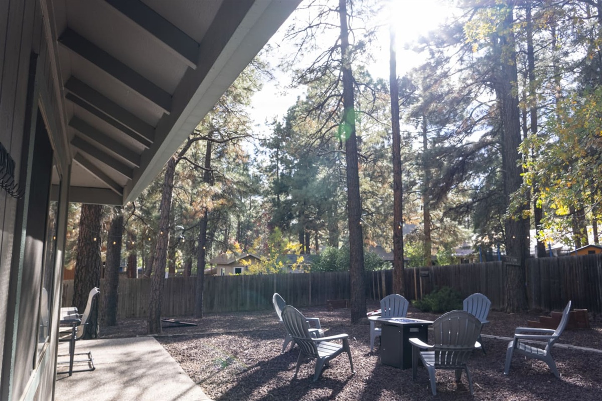 Outdoor seating area surrounded by tall pines, with space to unwind around the fire pit.