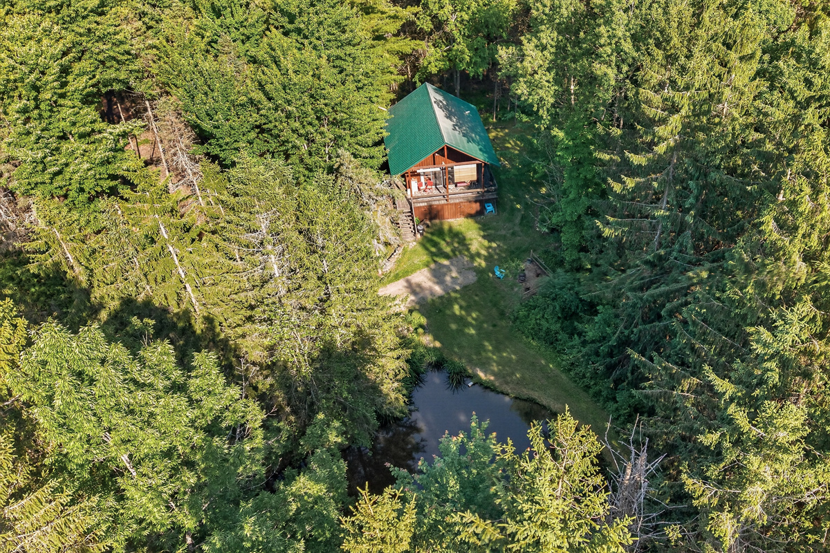 Cabin surrounded by dense forest
