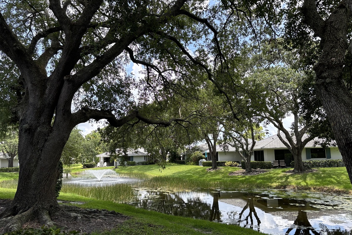 Enjoy the view of the small pond, pleasant aerator and shade form our back patio.