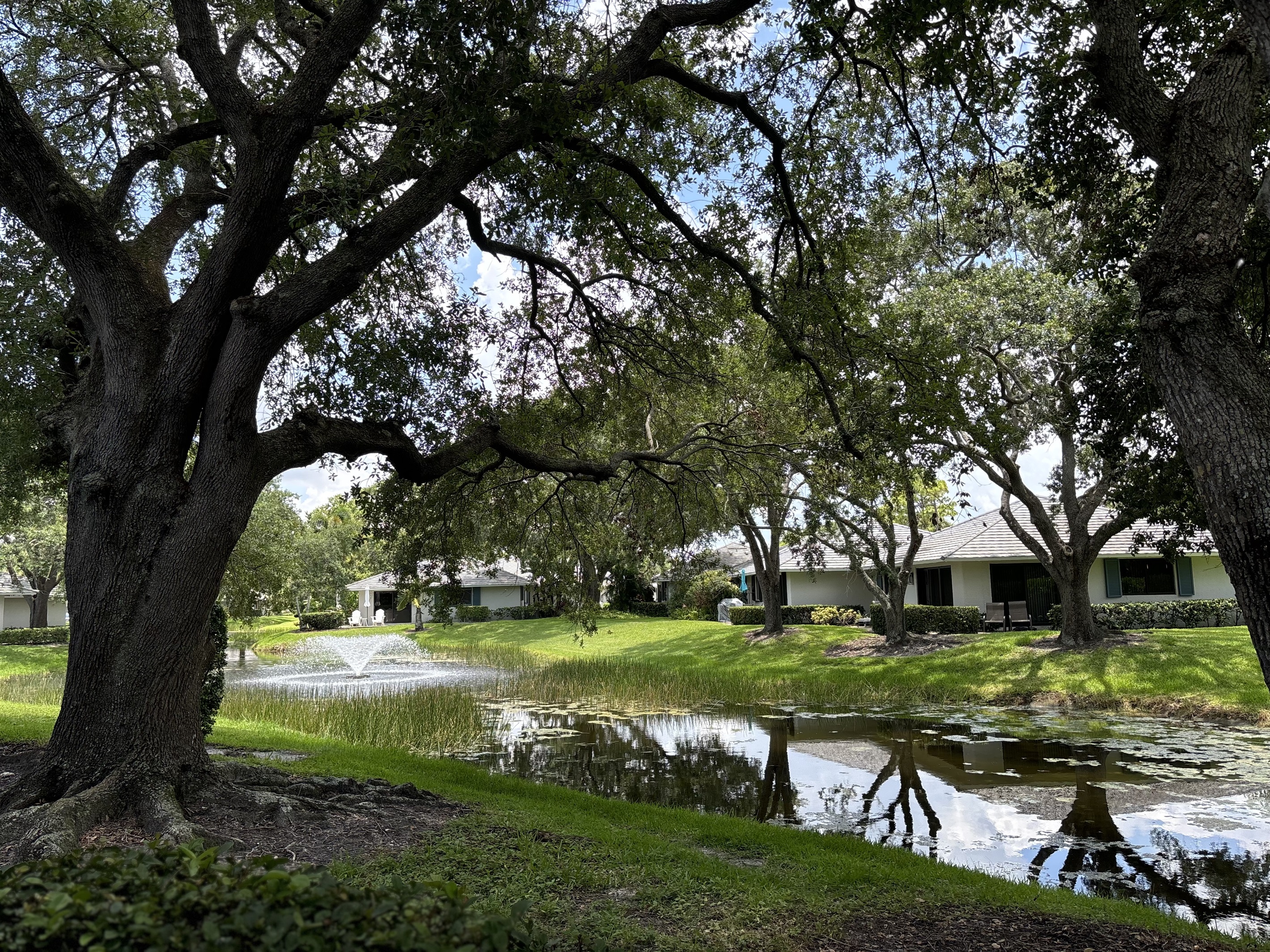 Enjoy the view of the small pond, pleasant aerator and shade form our back patio.