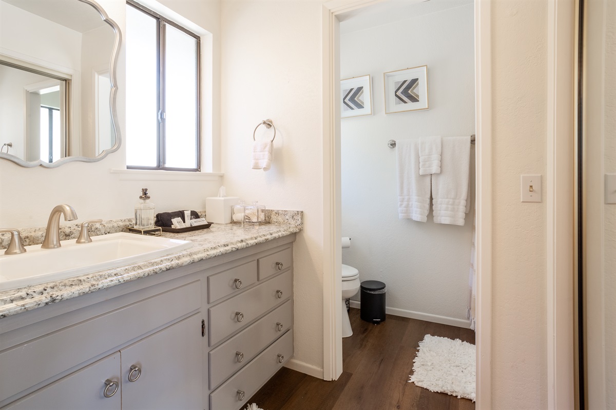 Primary King en suite bathroom.