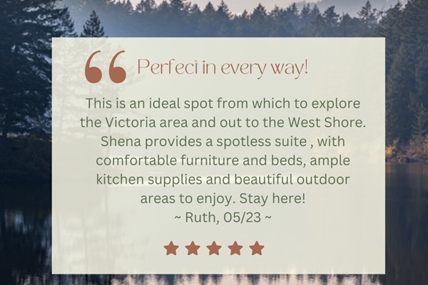 Guest review 