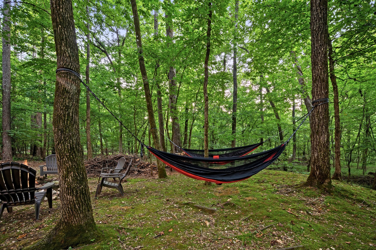 Hammocks strung between tall trees offer a tranquil spot for reading, napping, or stargazing.