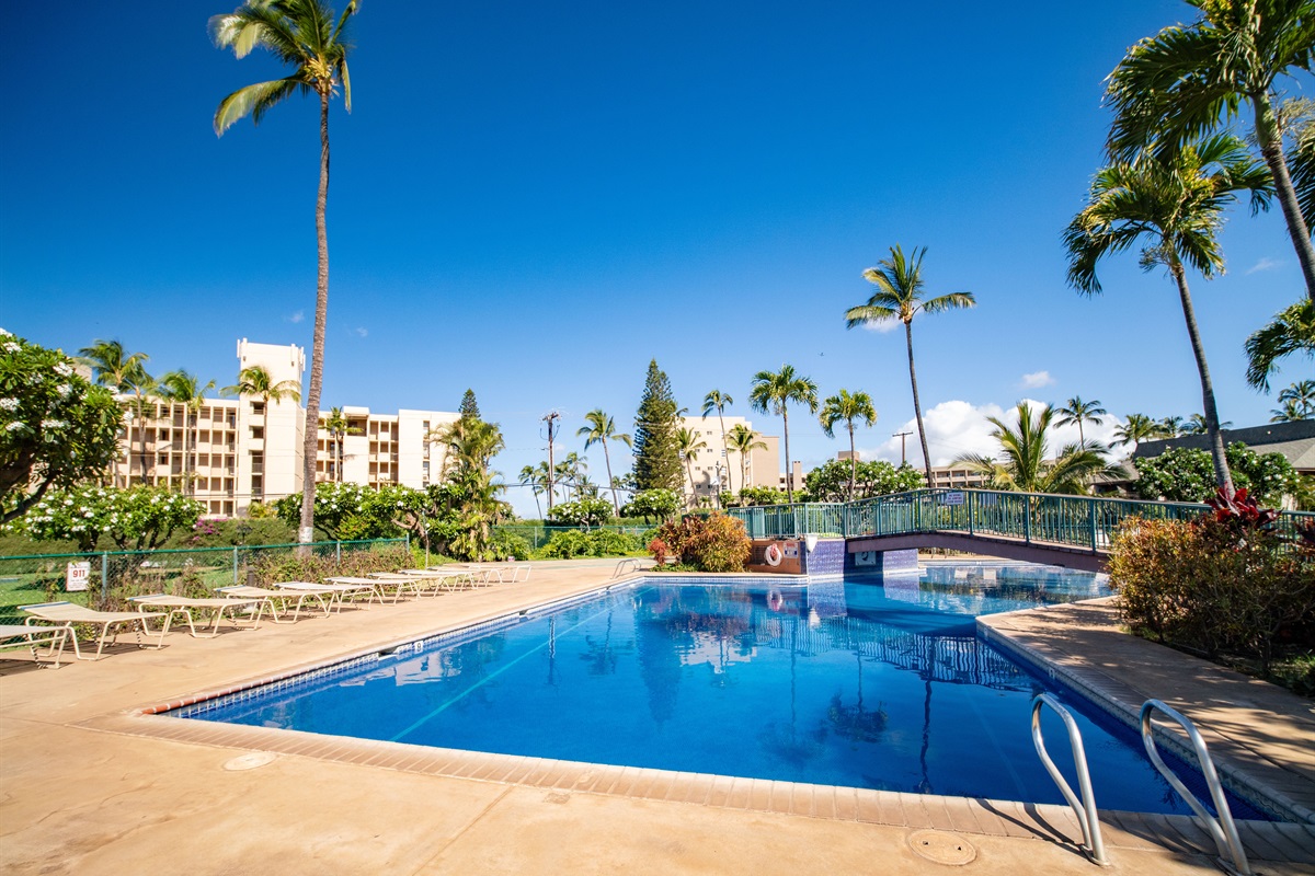 Koa Resort Pool