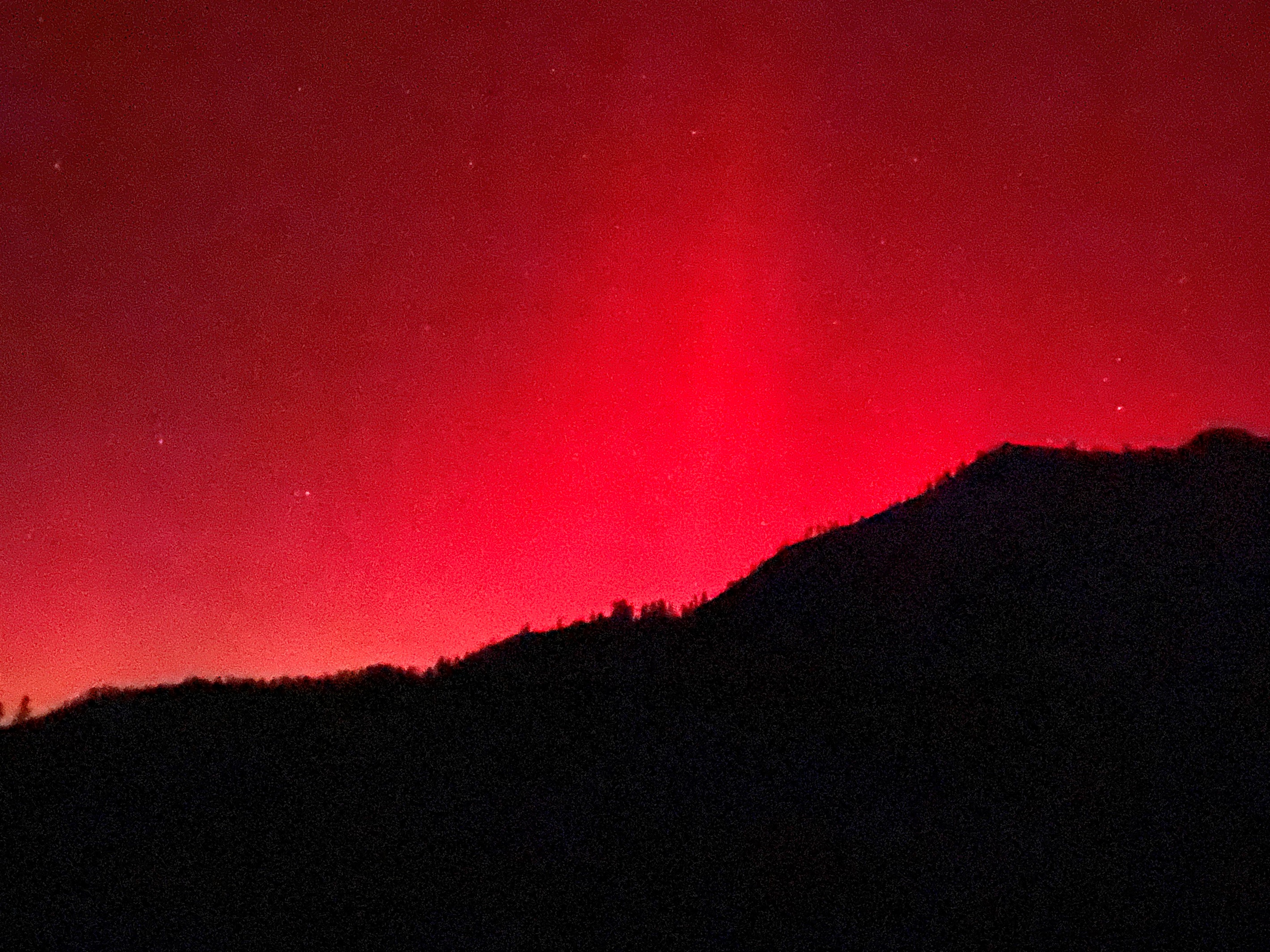 Northern Lights from the back patio!