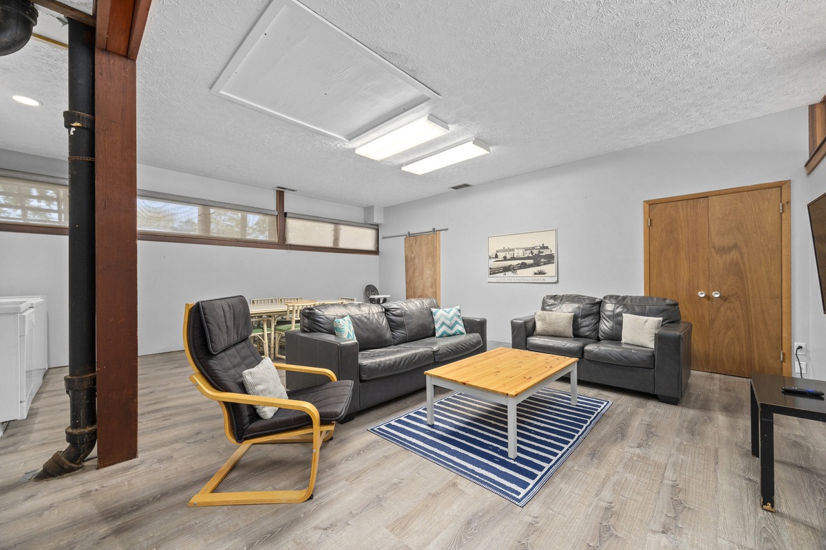 Lower Family Room