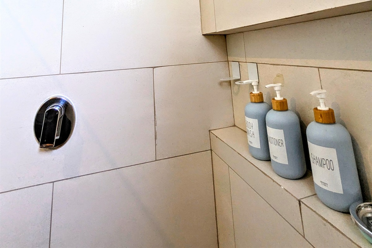 Master Bathroom Shower