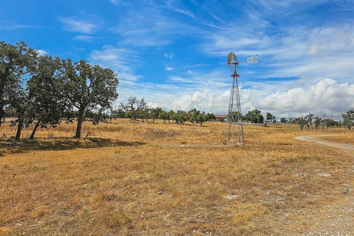 Take in the iconic Texas landscape, complete with a windmill and wide-open skies.