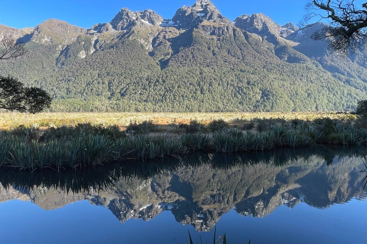 Going to Milford Sound? Stop at the Mirror Lakes! 
