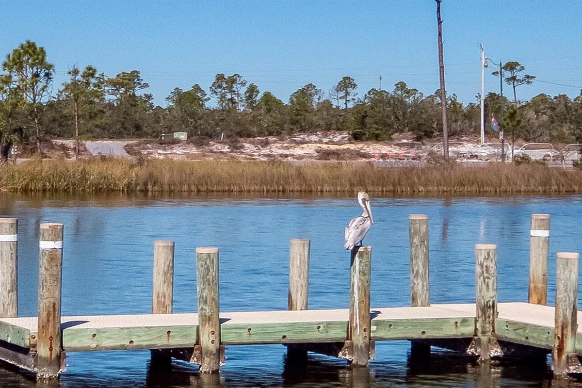 Cotton Bayou Pier