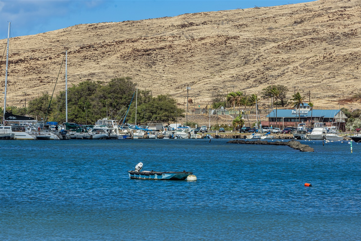 Ma'alaea Harbor