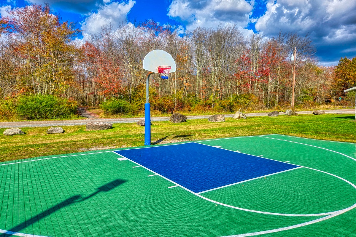 Basketball court - Community Amenity - Arrowhead Lake - Serhii Vacation Rentals