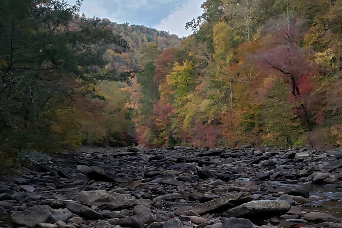 Piney River creek accessable from Cumberland trail only 15 minutes away