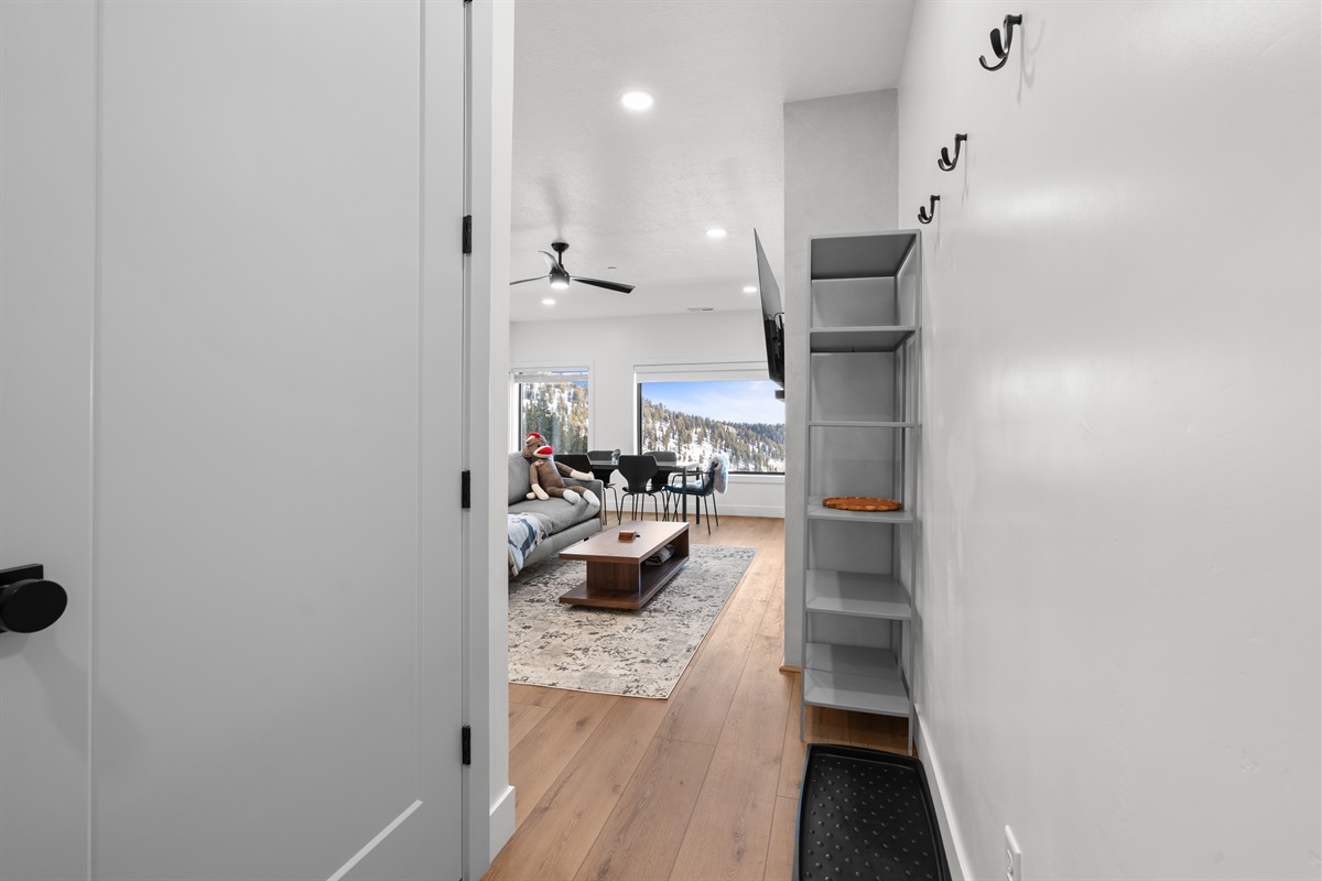Clean, modern entry flowing into the living space.