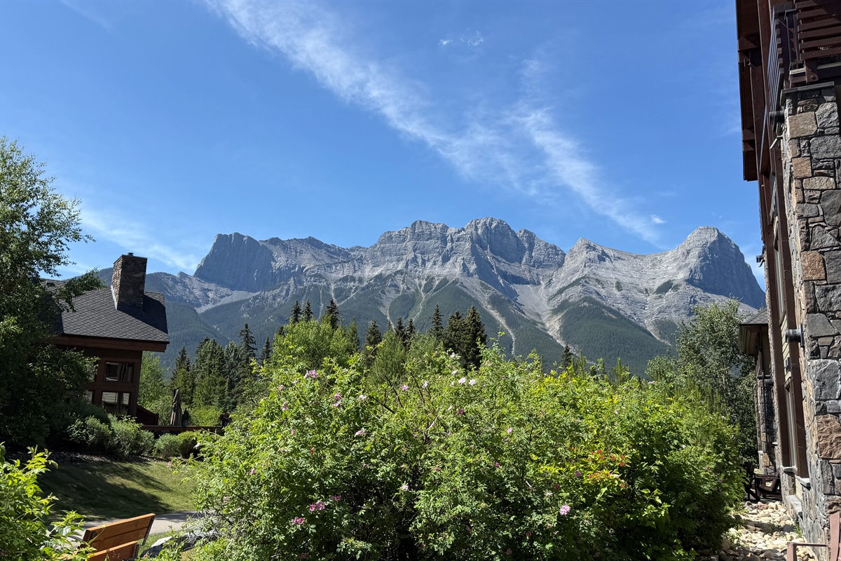 Morning coffee spot - enjoy the south facing mountain views!