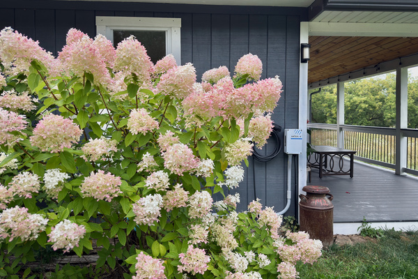 Convenient Level 2 EV charger located on the exterior wall, right of the hydrangeas. Available for guest use for a flat fee of $25 per stay—please let us know in advance! 