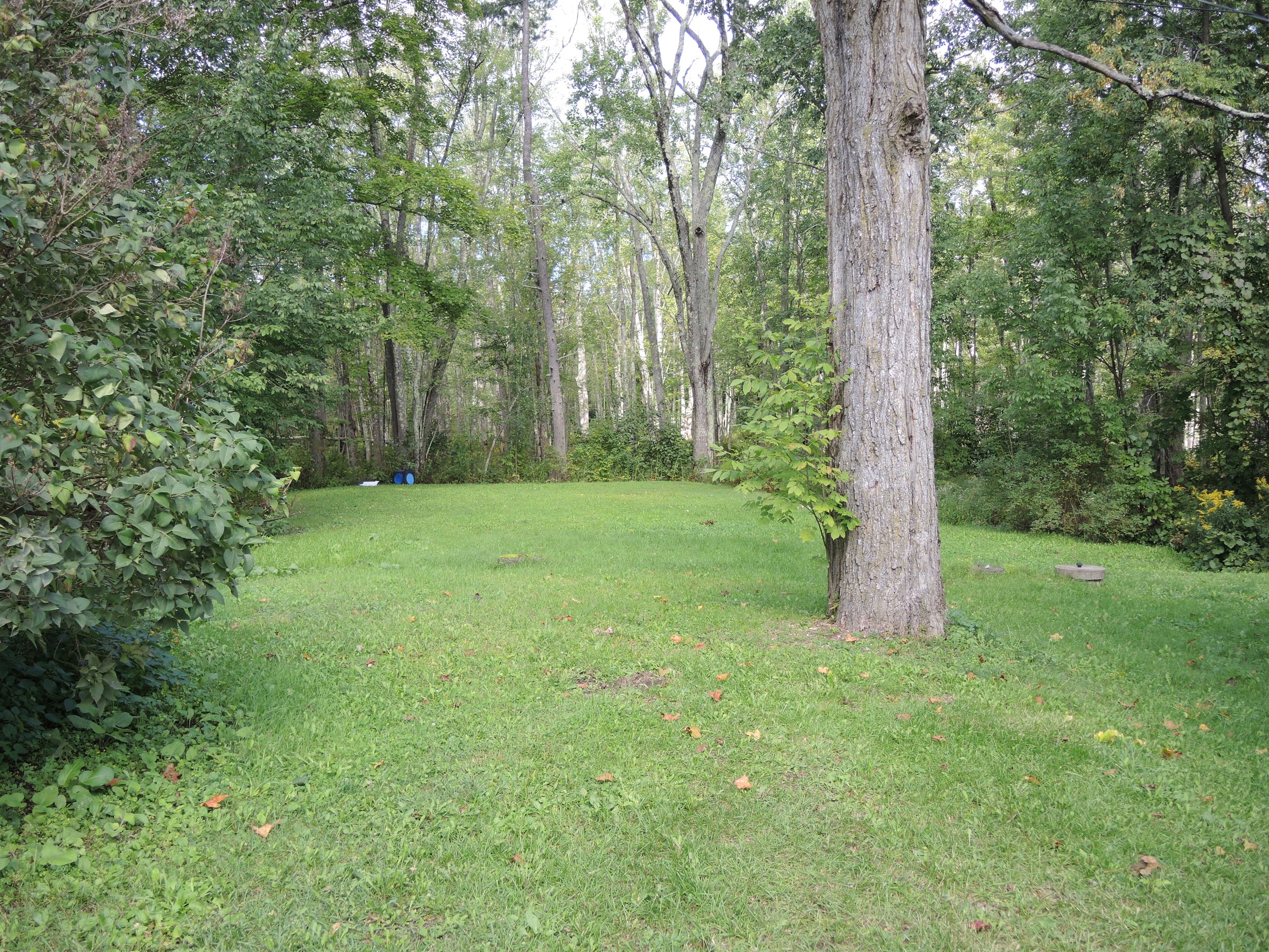 Private backyard shared with all 3 units