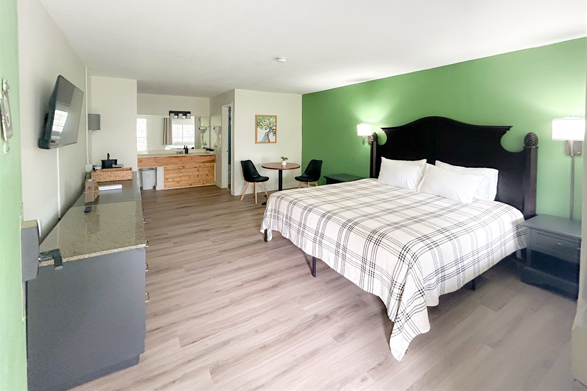 Main Room - 1 King bed