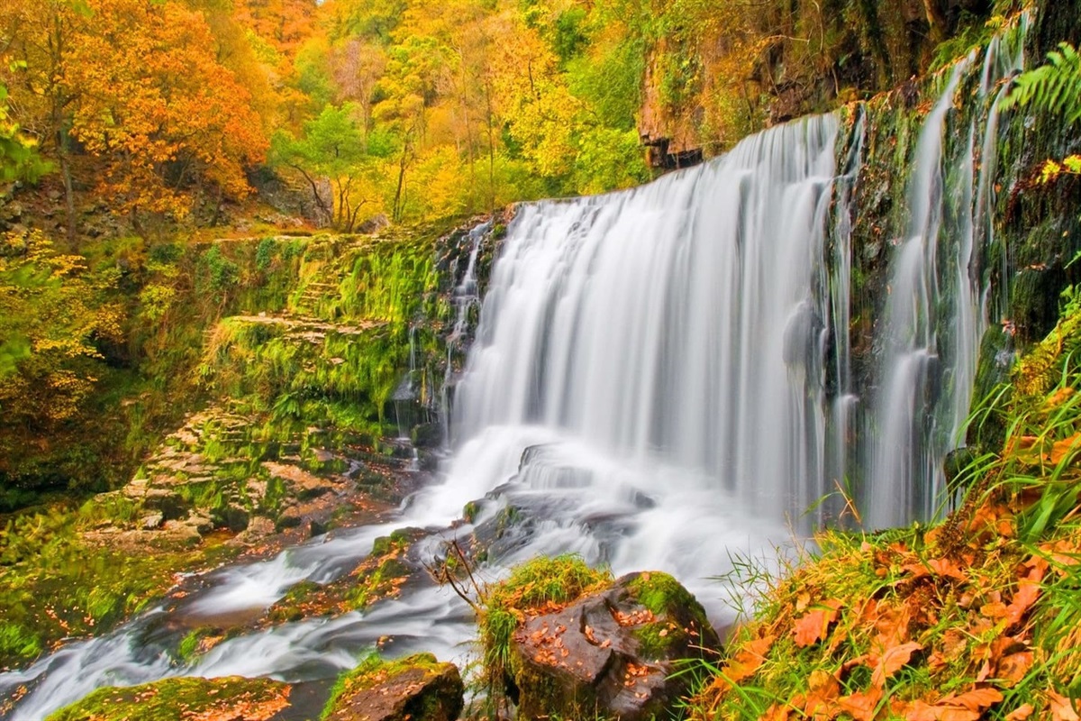 Enjoy the many area waterfalls.