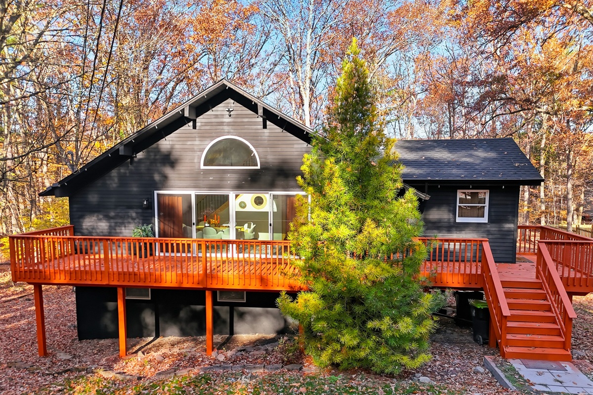 Lush woods surround the property