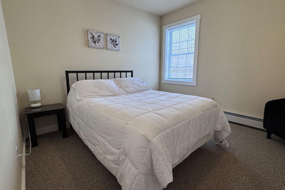 Primary Bedroom with Queen-size bed