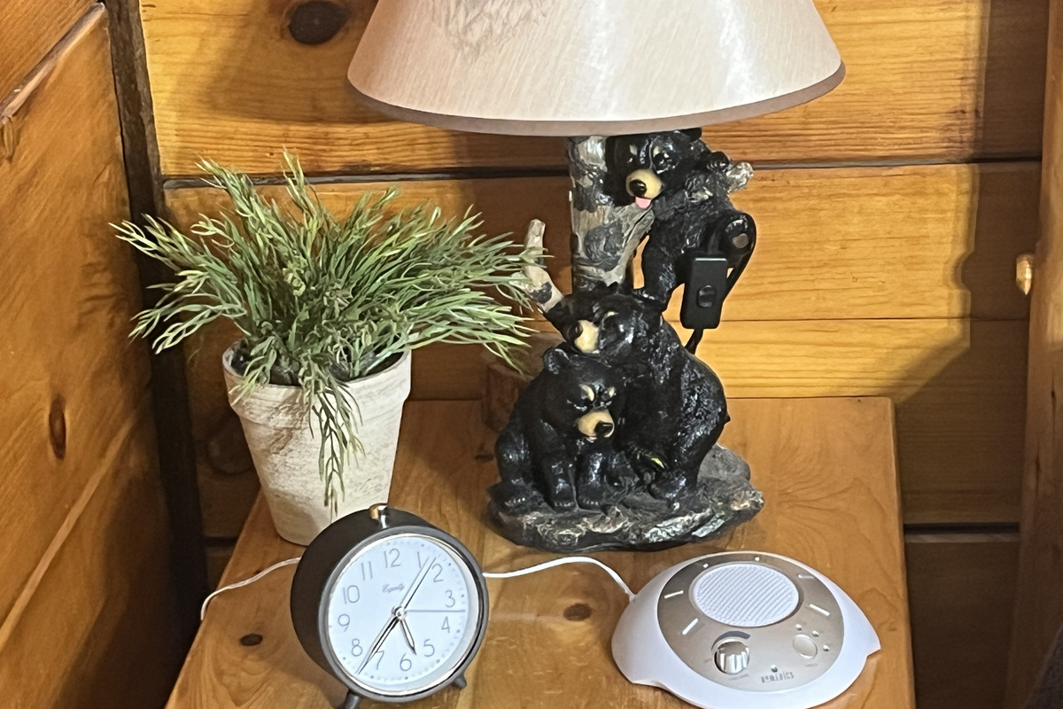 Alarm clock and noise maker 
