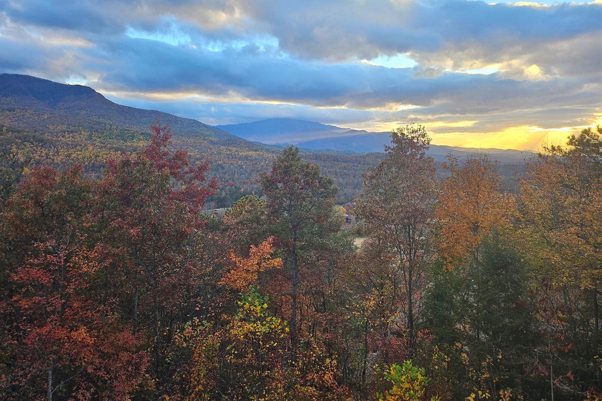 Come experience the fall leaves!