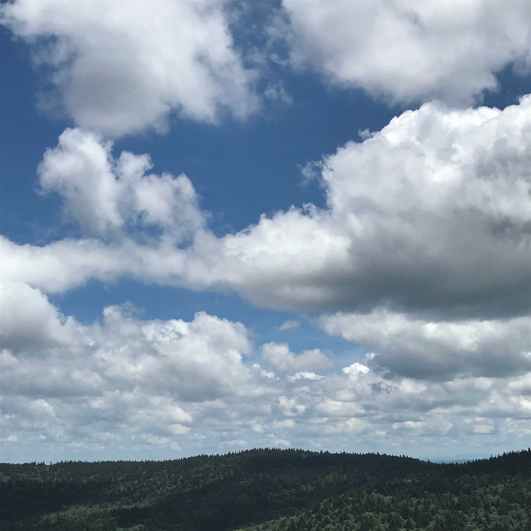 Who loves a great Mountain View?