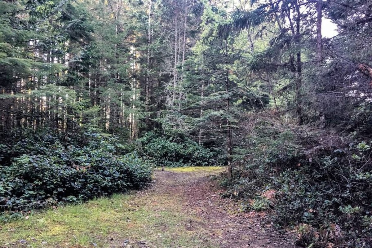 And more Paths