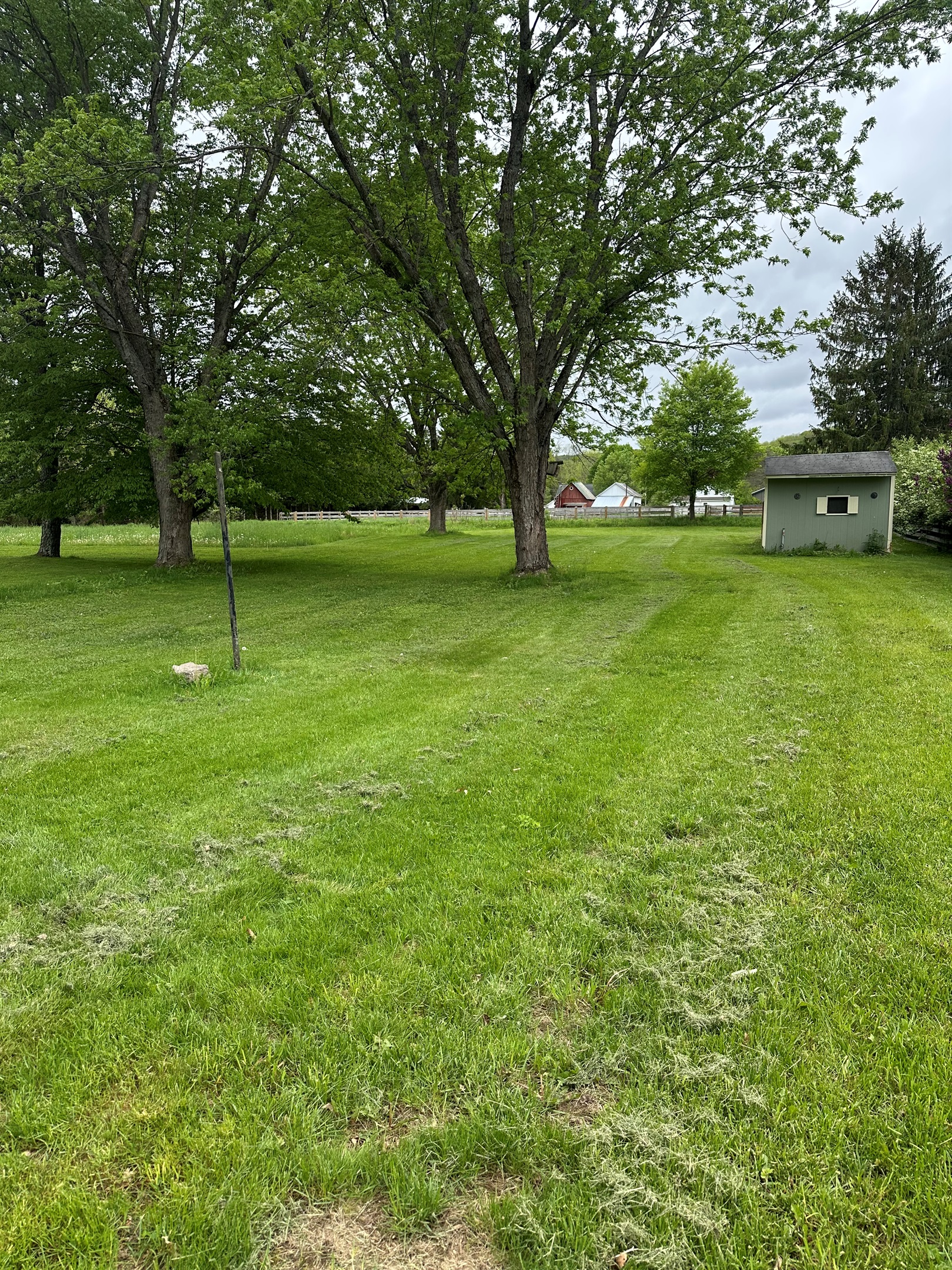 Large yard!