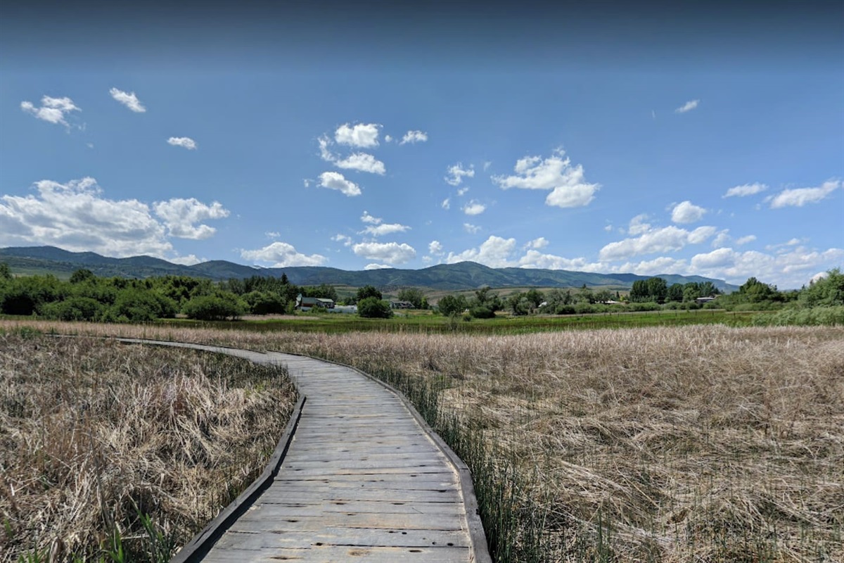 The relaxiing walk from the City Park to the beach is part of the fun!