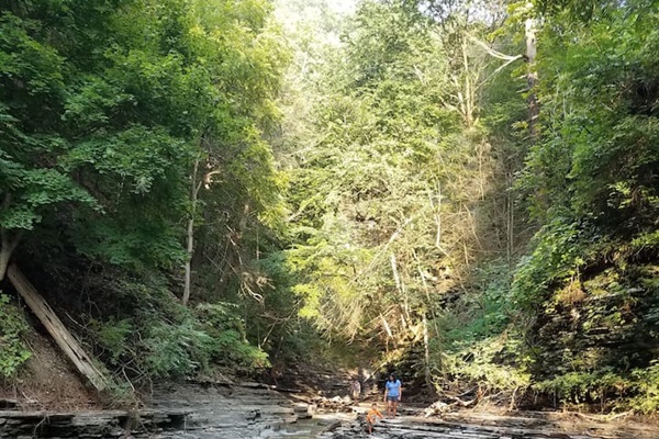Plunge pool at the base of a waterfall in a nearby creek.