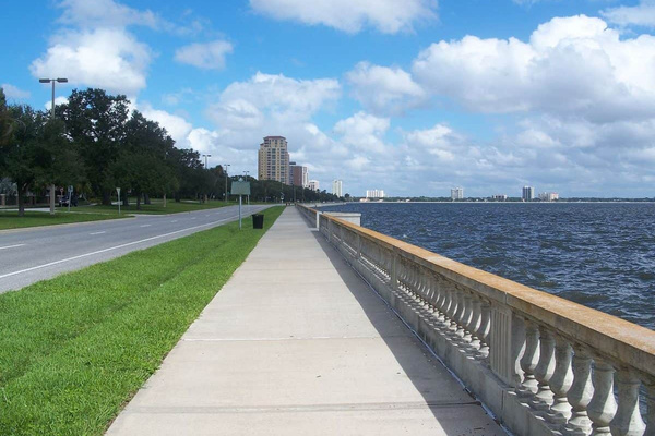 Iconic Bayshore Blvd 7 Blocks