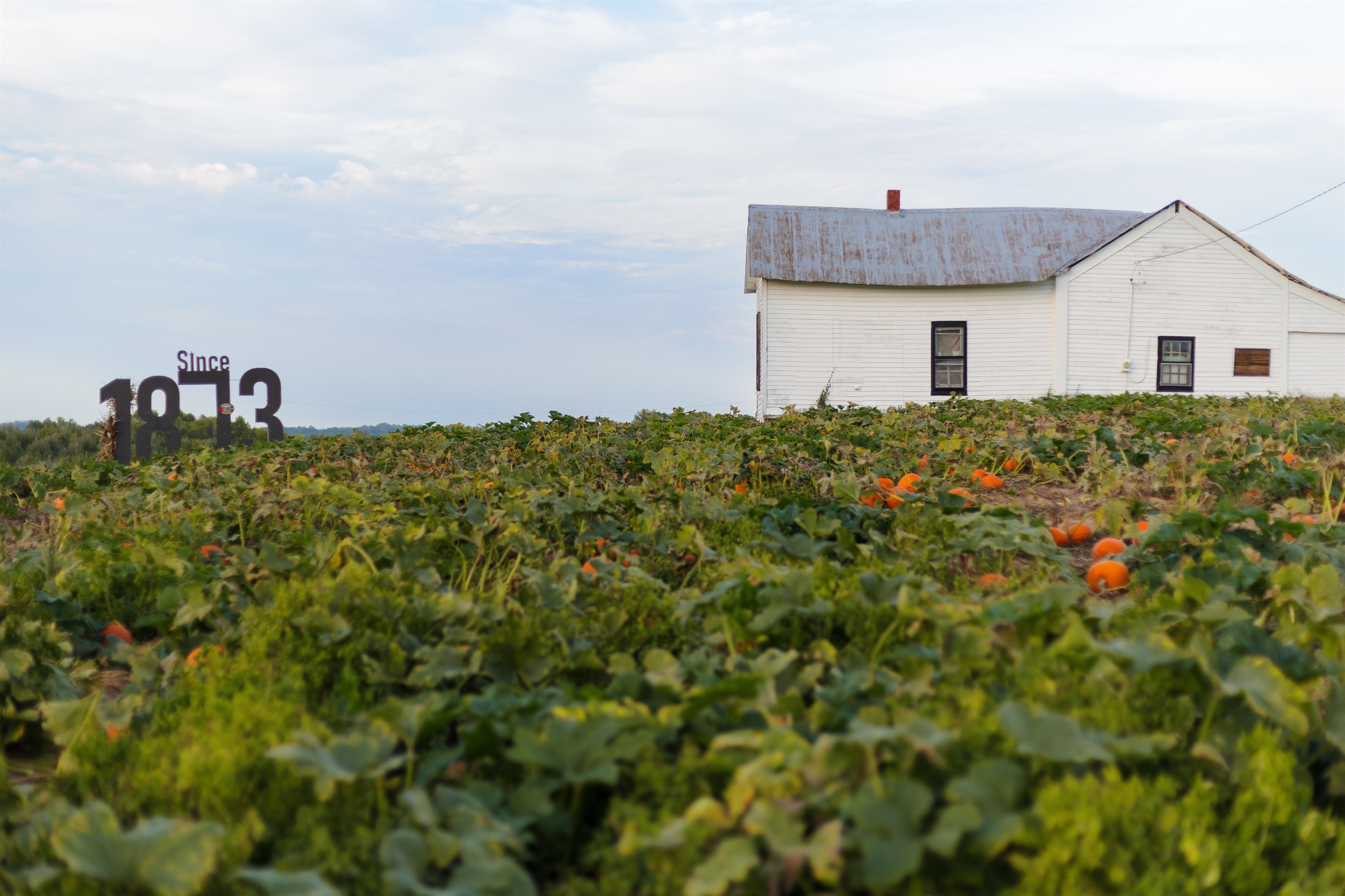 Peaceful surroundings on 150+ year old farm