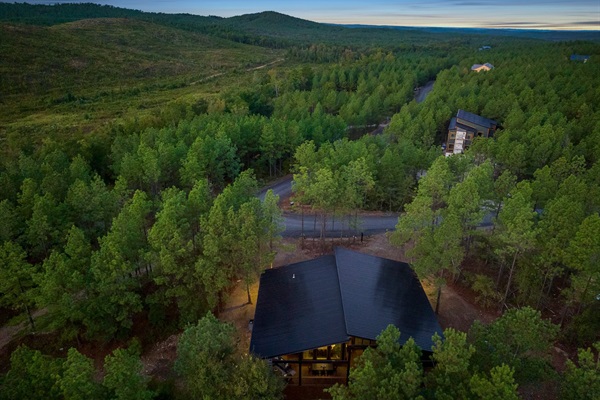 Tranquil mountain cabin nestled in lush pine forest