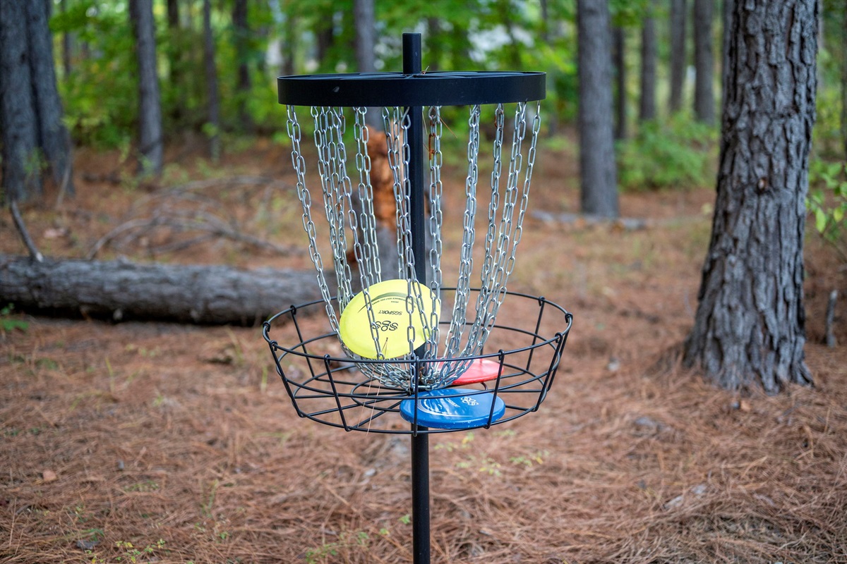 🥏 Forest fun for everyone &mdash; challenge accepted!