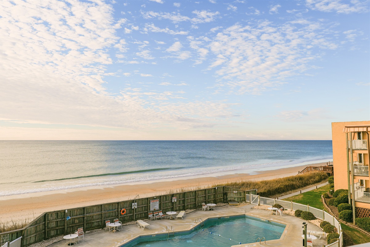 Welcome to Endless Summer!!